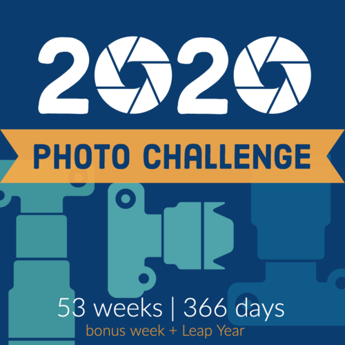 2020 Photo Challenge
